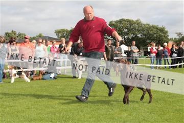 130370_tl_01_IMG_7549.JPG