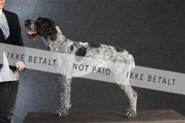 132082_le_ 01_IMG_0509.JPG