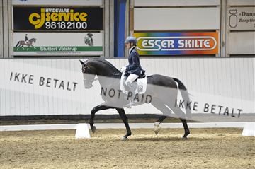 140040_abo_02__AB19342.JPG