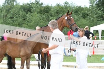 125406_sc_01_IMG_0870.jpg