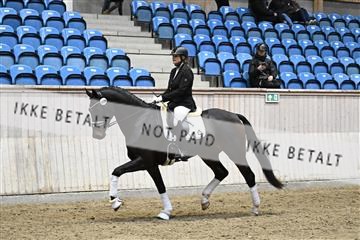 182241_kbb_01_Z093896.JPG