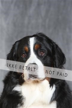 130054_le_ 03_0383.JPG