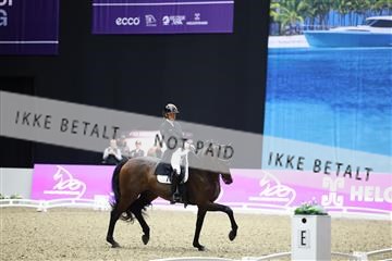 182194_mlm_01_R62_9685.JPG