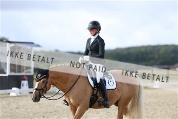 181894_mtp_04_R62_3888.JPG