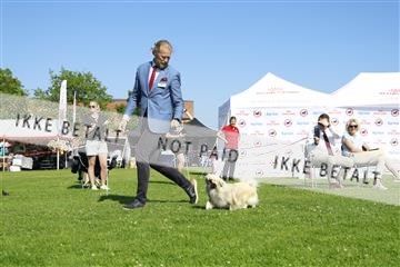 181564_kar_01__62_8235.JPG