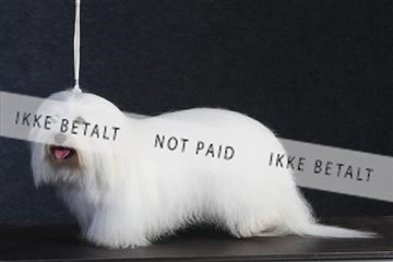 132082_le_ 01_IMG_0379.JPG