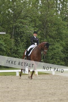 139835_sg_02_IMG_8957.JPG