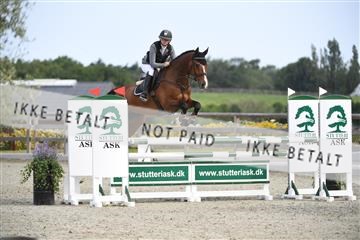 169152_abo_01_D05_0512.JPG