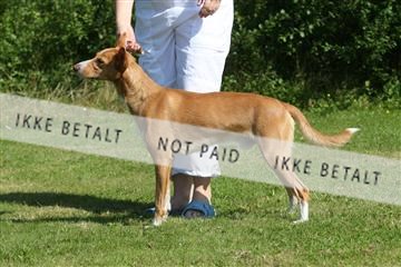 130370_se_03_IMG_6863.JPG