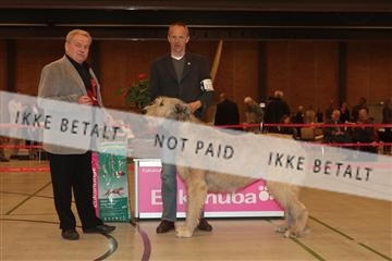 124188 _tl_02_IMG_9680.JPG