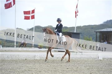 169624_kbb_01__KBB8502.JPG
