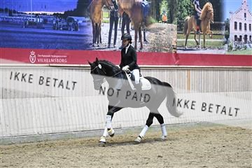 182241_kbb_01_Z095149.JPG