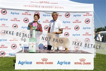 181564_kar_01__62_8195.JPG