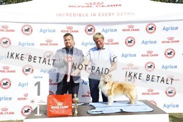 181848_kar_01__62_2276.JPG