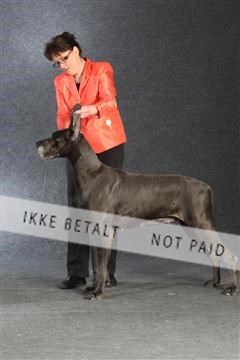 132082_le_ 01_IMG_1462.JPG