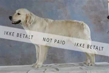 5493_sme _03__MG_9839.JPG