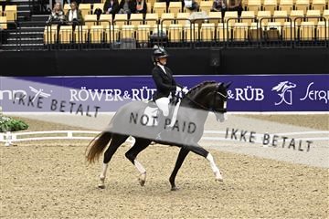 182194_kbb_03_Z091074.JPG