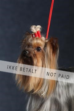 132082_le_ 01_IMG_0374.JPG