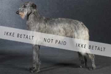 132082_le_ 01_IMG_0849.JPG