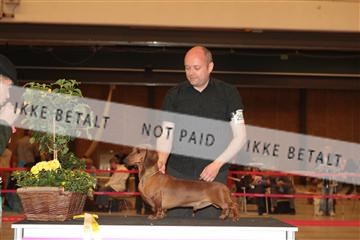 124188 _tl_02_IMG_9611.JPG