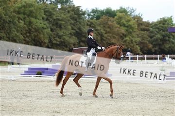 181923_mtp_02_R62_7089.JPG