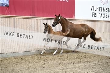181754_kbb_01_Z092687.JPG