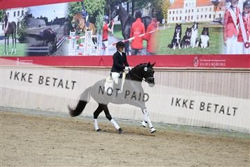 181887_mtp_04_R62_9296.JPG