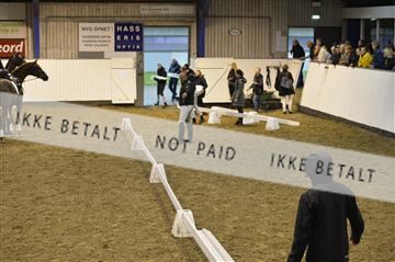 140040_abo_01__AB17647.JPG