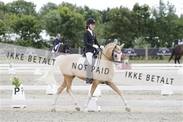 166078_rhj_01__J7R2823.JPG