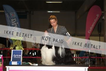 133496_ms_01_IMG_9432.JPG