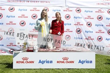 181564_kar_01__62_8544.JPG