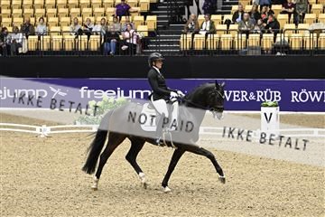 182194_kbb_03_Z091135.JPG