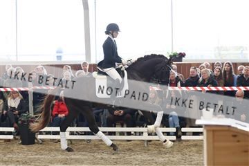 174363_kbb_01_R6II7958.JPG