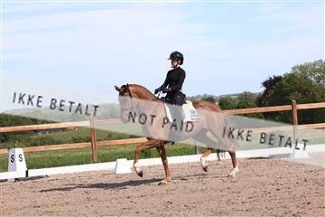 181449_bc_01R62_6044.JPG
