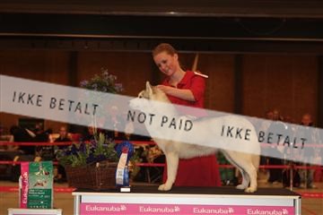 124188 _tl_02_IMG_9209.JPG