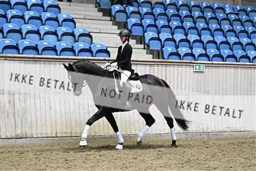 182241_kbb_01_Z095107.JPG