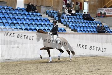 182241_kbb_01_Z093440.JPG