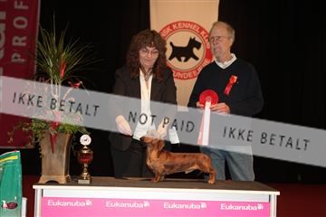 126827_tl_02_IMG_3046.JPG