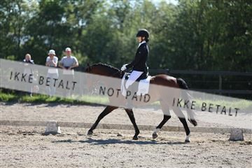 168732_mtp_01_3M5A6424.JPG