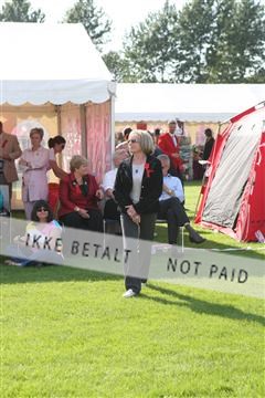 130370_se_02_IMG_6583.JPG