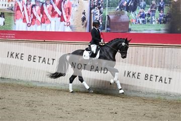 181887_mtp_02_R62_7643.JPG