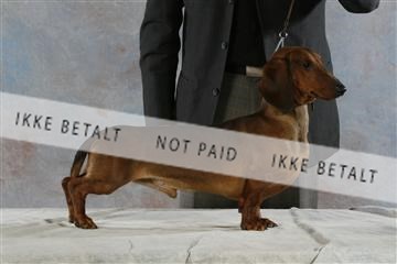 5493_sme _03__MG_9757.JPG