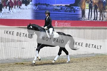 182241_kbb_01_Z095150.JPG