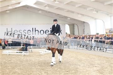 174363_kbb_01_R6II8109.JPG