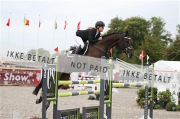 152762_nn _05_IMG_7480.JPG