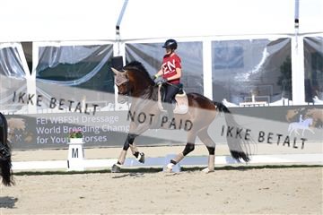 179800_BC_01_00205.JPG
