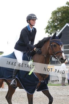 152762_nn _05_IMG_7810.JPG