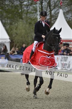 139644_abo_07__AB15745.JPG