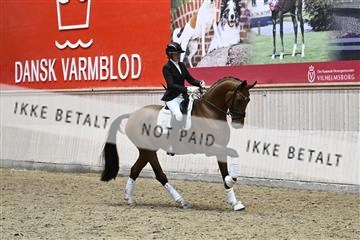 182241_kbb_01_Z095321.JPG