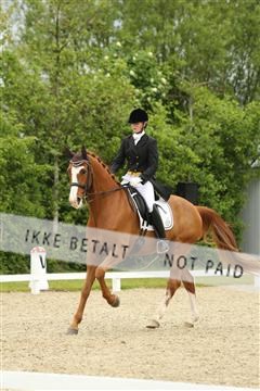 139835_sg_01_IMG_7389.JPG
